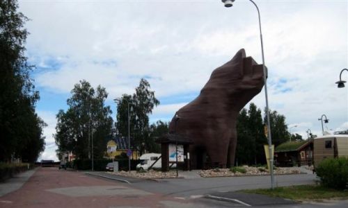 Zdjcie SZWECJA / JAMTLAND / SVEG / NIEDZWIEDZ