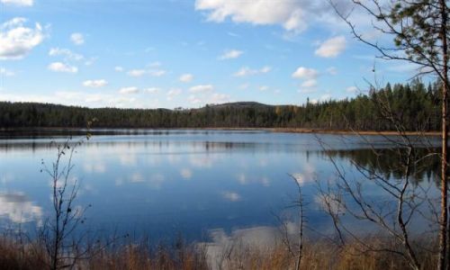 Zdjecie SZWECJA / VASTERBOTTEN-LAPONIA / KOMUNA MALA / LANGTJAMEN