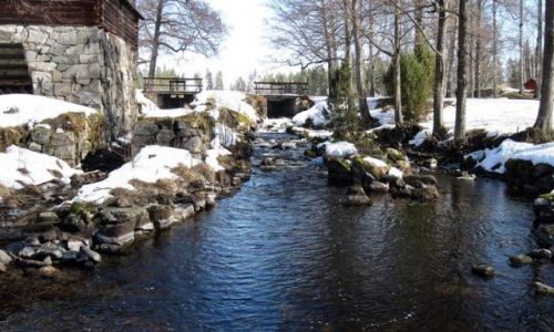 Zdjęcie SZWECJA / DALARNA / OKOLICE LANGSHYTTAN / NAD STRUMIENIEM