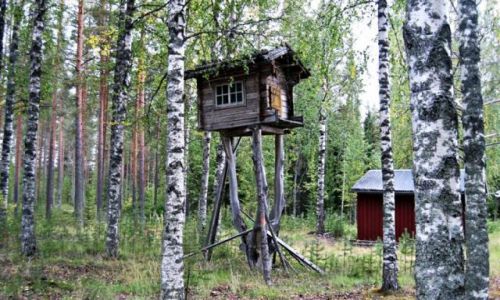 Zdjcie SZWECJA / VASTERBOTTEN-LAPONIA / LYCKSELE / ZAWIESZONA NA DRZEWIE