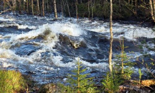 Zdjecie SZWECJA / VASTERBOTTEN-LAPONIA / OKOLICE MALA / WULKAN