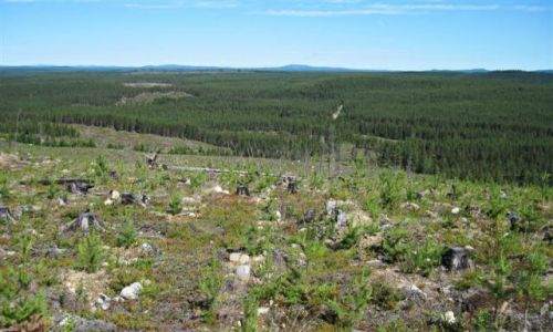 Zdjecie SZWECJA / VASTERBOTTEN-LAPONIA / OKOLICE MALA / UKOJENIE DUSZY