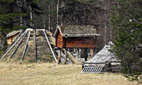 Zdjcie SZWECJA / VASTERBOTTEN-LAPONIA / LYCKSELE / EKO-SPIARNIE