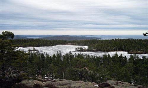 Zdjcie SZWECJA / VASTERNORRLAND / SKULESKOGENS NATIONALPARK / HOGA KUSTEN