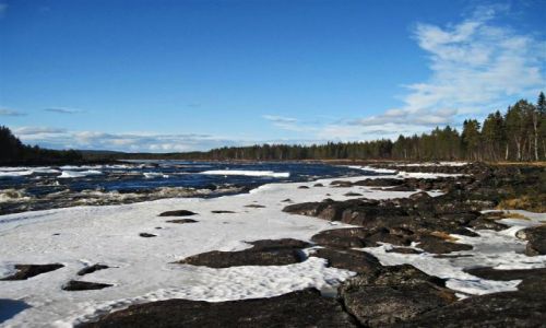 Zdjęcie SZWECJA / VASTERBOTTEN-LAPONIA / VORMSELE / WIOSNA W LAPONII