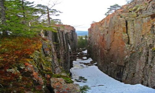 Zdjcie SZWECJA / VASTERNORRLAND / SKULESKOGENS NATIONALPARK / SKULESKOGENS NATIONALPARK