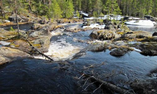 Zdjcie SZWECJA / VASTERBOTTEN-LAPONIA / OKOLICE STORUMAN / UROKI LAPOSKICH RZEK