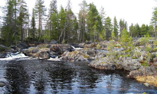 Zdjcie SZWECJA / VASTERBOTTEN-LAPONIA / OKOLICE STORUMAN / UROKI LAPOSKICH RZEK