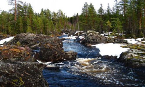 Zdjcie SZWECJA / VASTERBOTTEN-LAPONIA / OKOLICE STORUMAN / UROKI LAPOSKICH RZEK