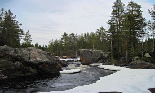 Zdjcie SZWECJA / VASTERBOTTEN-LAPONIA / OKOLICE STORUMAN / UROKI LAPOSKICH RZEK