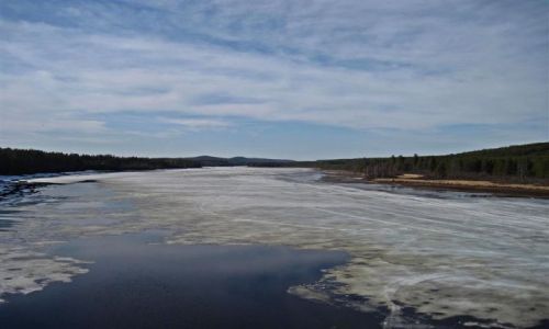 Zdjecie SZWECJA / VASTERBOTTEN-LAPONIA / OKOLICE LYCKSELE / WIOSNA W LAPONII