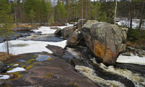 Zdjcie SZWECJA / VASTERBOTTEN-LAPONIA / OKOLICE STORUMAN / WODA I SKAKI