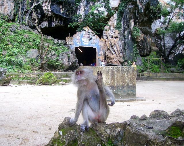 Zdjęcia: jaskinia Monkey Cave Temple, południowa Tajlandia, dzisiaj w programie - rozciąganie!, TAJLANDIA Zdjęcia: jaskinia Monkey Cave Temple, południowa Tajlandia, dzisiaj w programie - rozciąganie!, TAJLANDIA
