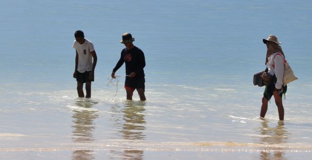 Zdjęcia: Krabi, Polowy, TAJLANDIA Zdjęcia: Krabi, Polowy, TAJLANDIA