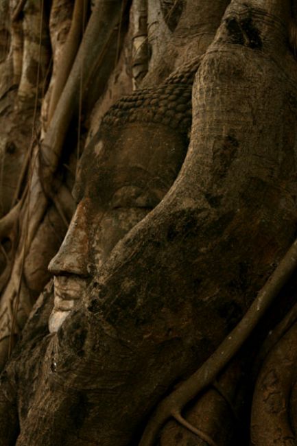 Zdjęcia: Ayutthaya, Śpiący Budda, TAJLANDIA Zdjęcia: Ayutthaya, Śpiący Budda, TAJLANDIA