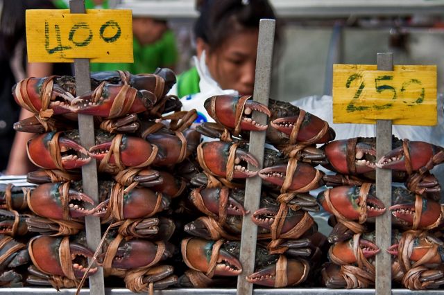 Zdjęcia: Bangkok, na straganie, TAJLANDIA Zdjęcia: Bangkok, na straganie, TAJLANDIA