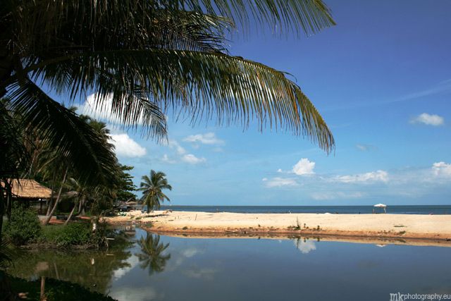 Zdjęcia: Lamai beach, Koh Samui, palmy, TAJLANDIA Zdjęcia: Lamai beach, Koh Samui, palmy, TAJLANDIA