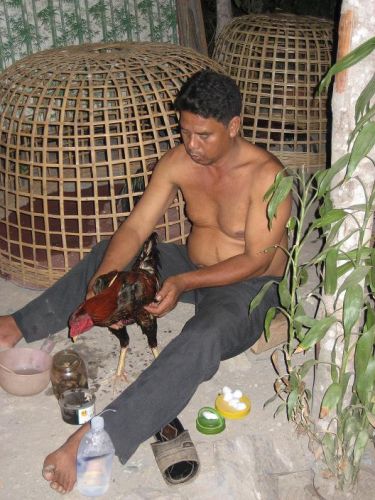 Zdjęcia: Koh Lanta, Koh Lanta, Przygotowania do walki, TAJLANDIA Zdjęcia: Koh Lanta, Koh Lanta, Przygotowania do walki, TAJLANDIA