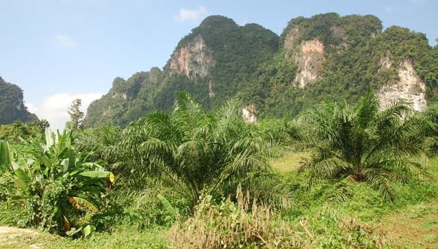 Zdjęcia: Ao Nang, Krabi, Gdzieś po drodze, TAJLANDIA Zdjęcia: Ao Nang, Krabi, Gdzieś po drodze, TAJLANDIA