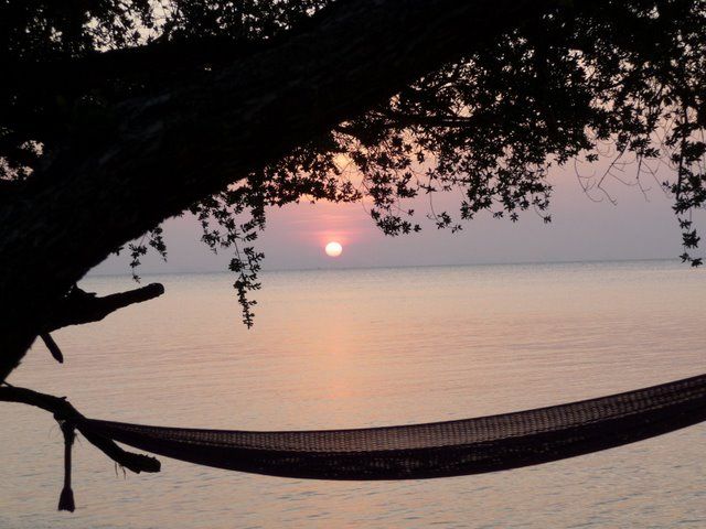 Zdjęcia: Ko phangan, Ko Phangan, Kolory nieee ... baaaa, TAJLANDIA Zdjęcia: Ko phangan, Ko Phangan, Kolory nieee ... baaaa, TAJLANDIA