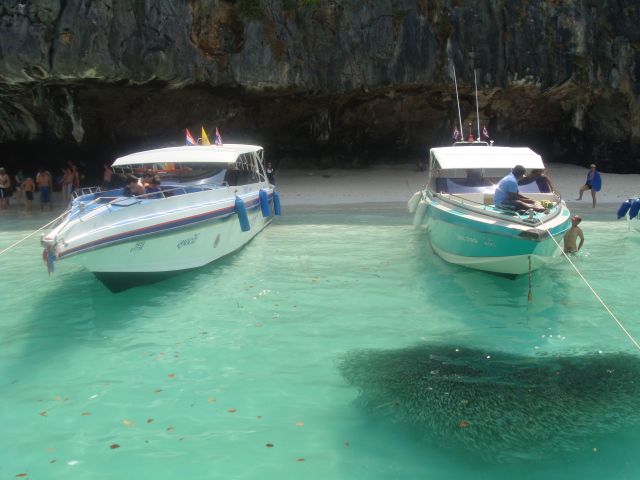 Zdjęcia: Phuket, Phuket, atak lawicy na motorowke, TAJLANDIA Zdjęcia: Phuket, Phuket, atak lawicy na motorowke, TAJLANDIA