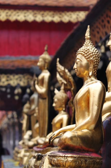 Zdjęcia: Chiang Mai, Północna Tajlandia, w świątyni, TAJLANDIA Zdjęcia: Chiang Mai, Północna Tajlandia, w świątyni, TAJLANDIA