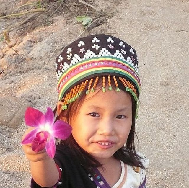 Zdjęcia: CHIANG RAI, CHIANG RAI, Kwiatek, TAJLANDIA Zdjęcia: CHIANG RAI, CHIANG RAI, Kwiatek, TAJLANDIA