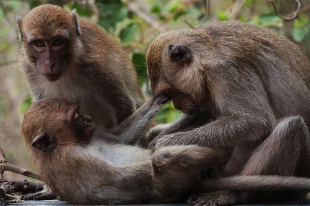 Zdjęcia: Pattaya, co mi robisz???, TAJLANDIA Zdjęcia: Pattaya, co mi robisz???, TAJLANDIA