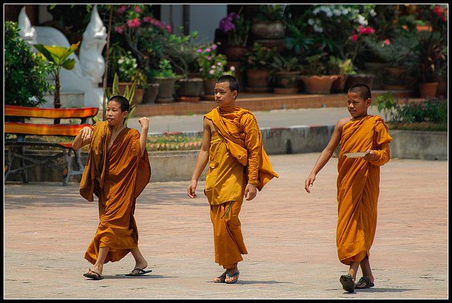 Zdjęcia: WAT, CHIANG MAI, Przyjaciele, TAJLANDIA Zdjęcia: WAT, CHIANG MAI, Przyjaciele, TAJLANDIA