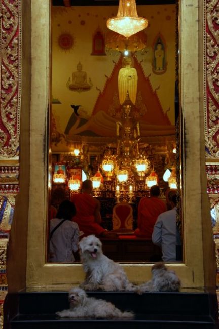 Zdjęcia: Bangkok, Bangkok, Konkurs "Drzwi świata", TAJLANDIA Zdjęcia: Bangkok, Bangkok, Konkurs "Drzwi świata", TAJLANDIA