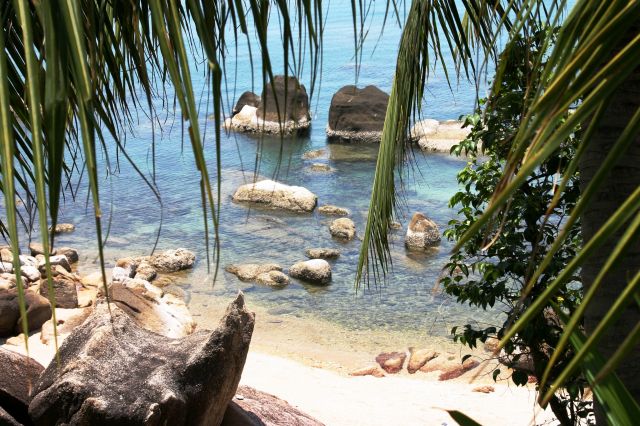 Zdjęcia: Koh Samui, Koh Samui, TAJLANDIA Zdjęcia: Koh Samui, Koh Samui, TAJLANDIA