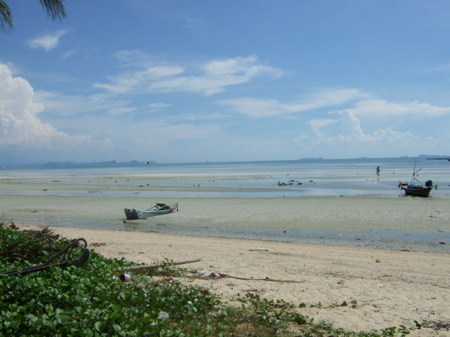 Zdjęcia: plaża, koh samui, tajlandia, TAJLANDIA Zdjęcia: plaża, koh samui, tajlandia, TAJLANDIA