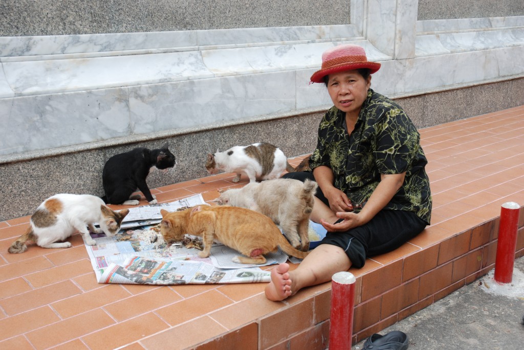 Zdjęcia: Bangkok, Konkurs "szczescie", TAJLANDIA Zdjęcia: Bangkok, Konkurs "szczescie", TAJLANDIA