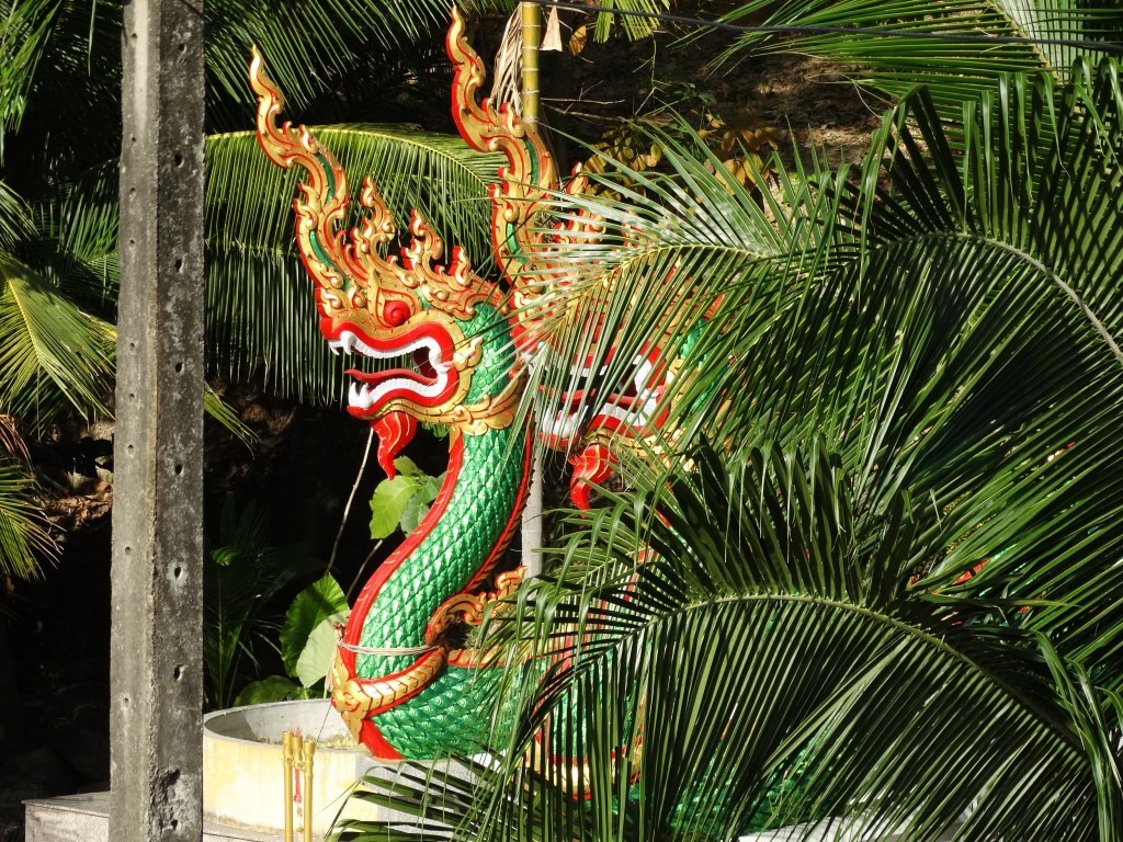 Zdjęcia: Patong, Phuket, Smocze weze, TAJLANDIA Zdjęcia: Patong, Phuket, Smocze weze, TAJLANDIA