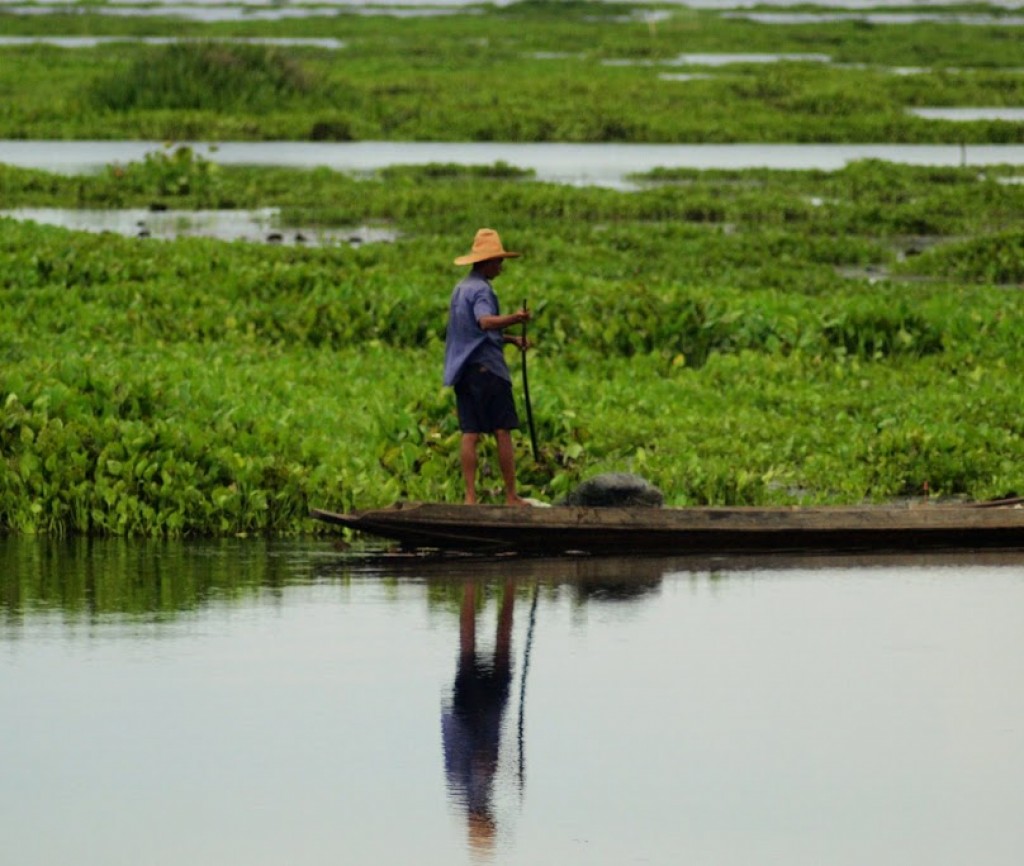 Zdjęcia: Thale Noi bird reserve, Relaks wsrod lotosu, TAJLANDIA Zdjęcia: Thale Noi bird reserve, Relaks wsrod lotosu, TAJLANDIA