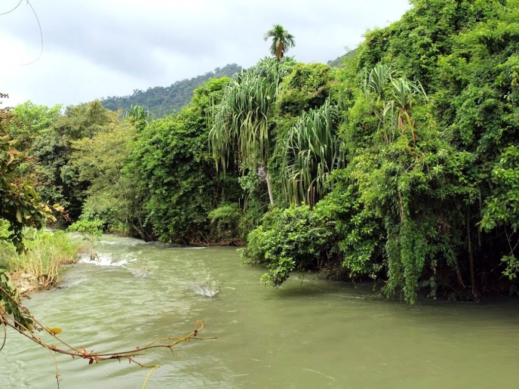 Zdjęcia: Khao Sok NP, Wielka zielen dzungli, TAJLANDIA Zdjęcia: Khao Sok NP, Wielka zielen dzungli, TAJLANDIA
