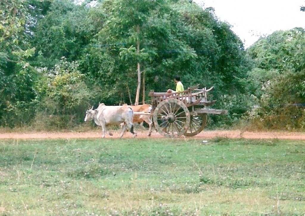 Zdjęcia: Stare Sukhothai, Sukhothai, Transport, TAJLANDIA Zdjęcia: Stare Sukhothai, Sukhothai, Transport, TAJLANDIA