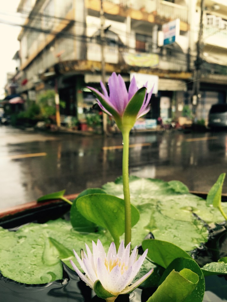 Zdjęcia: Chumphon, Chumphon, Deszcz..., TAJLANDIA Zdjęcia: Chumphon, Chumphon, Deszcz..., TAJLANDIA
