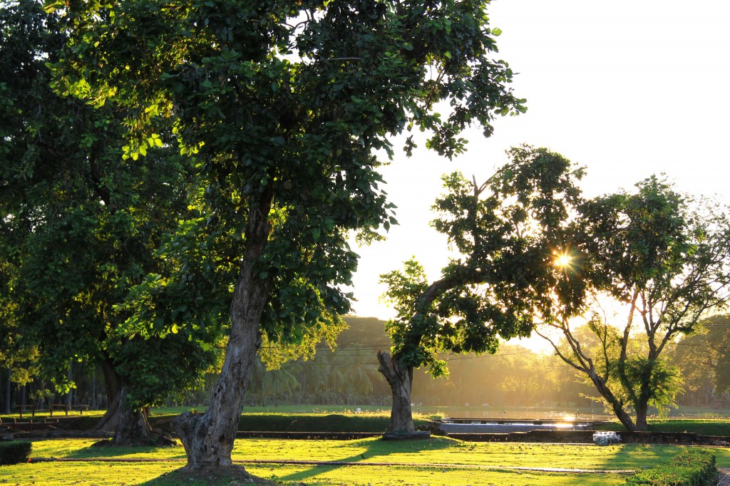 Zdjęcia: Sukhotai, Sukhotai, prześwit, TAJLANDIA Zdjęcia: Sukhotai, Sukhotai, prześwit, TAJLANDIA