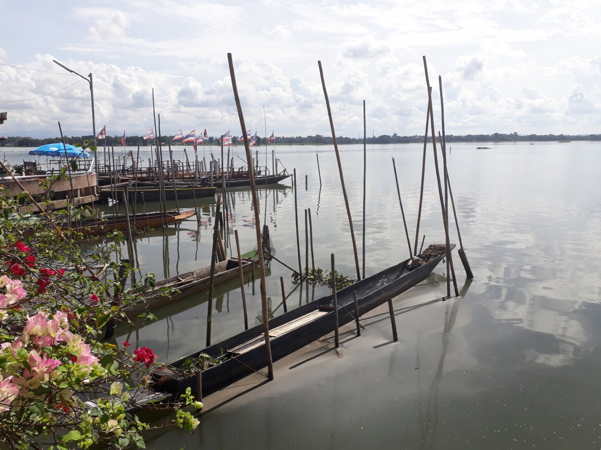 Zdjęcia: Phayao, Phayao, Na jeziorze , TAJLANDIA Zdjęcia: Phayao, Phayao, Na jeziorze , TAJLANDIA