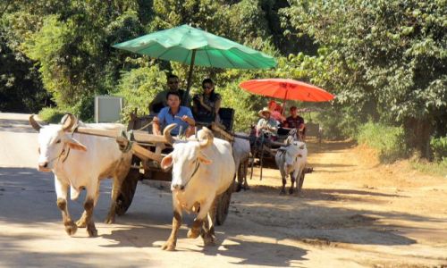Zdjecie TAJLANDIA / okolice Chiang Mai / okolice Chiang Mai / Prawie jak trojka....