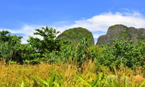 Zdjęcie TAJLANDIA / - / Ko  Phi Phi / Ko Phi Phi