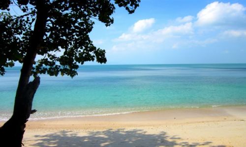 Zdjcie TAJLANDIA / Ko Pha Ngan / Tajlandia / PLAZA