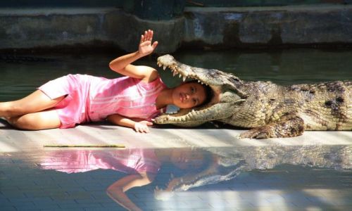 Zdjecie TAJLANDIA / - / Pattaya / raz si yje