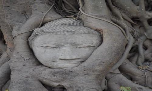 Zdjecie TAJLANDIA / Ayutthaia / Ayutthaia / Tajlandia 2012