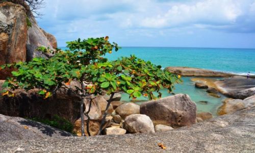 Zdjecie TAJLANDIA / Koh Samui / plaa / skaki