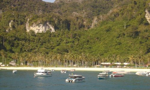 Zdjęcie TAJLANDIA / brak / wyspa Koh Phi Phi / .
