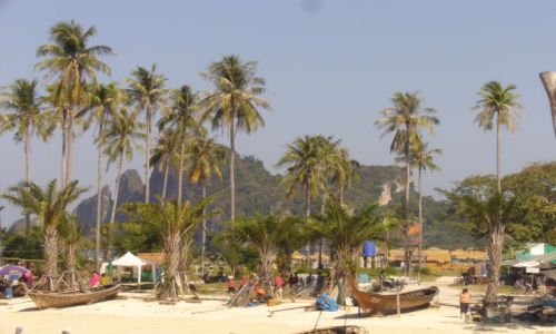 Zdjęcie TAJLANDIA / brak / wyspa Koh Phi Phi / .