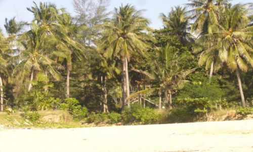 Zdjęcie TAJLANDIA / brak / wyspa Koh Lanta / .