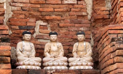 Zdjecie TAJLANDIA / Ayutthaya / Ayutthaya / wici